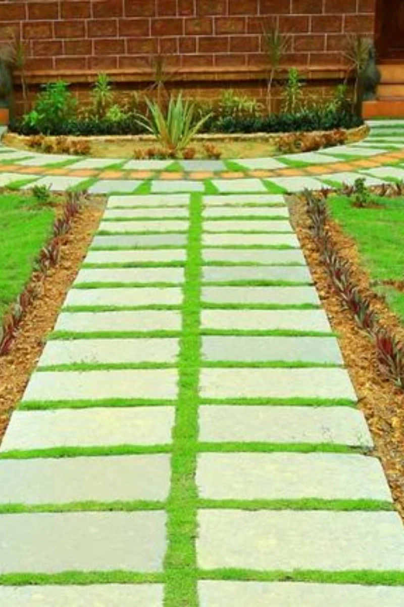 Landscaping Plants, Trees & Grass