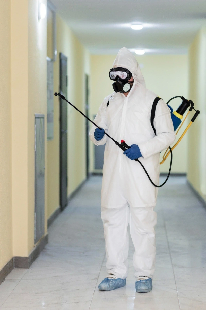 Pest Control & Anti-Termite Treatment