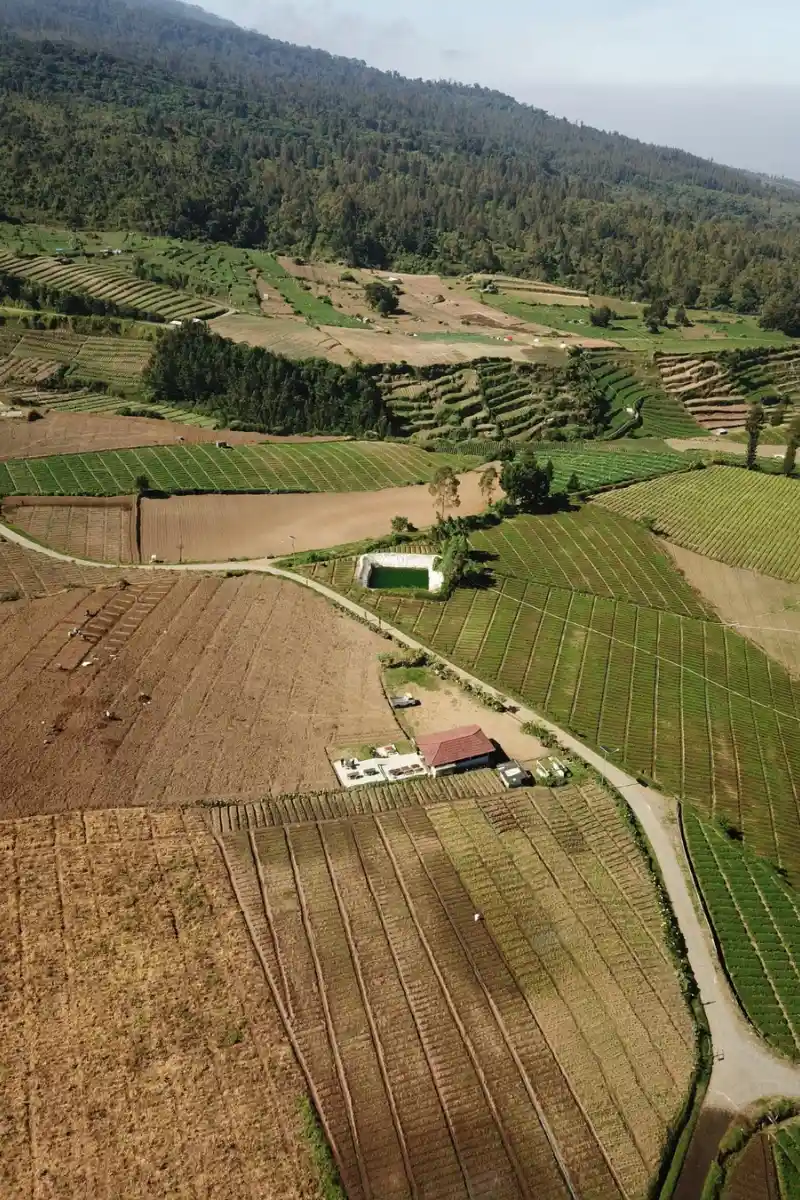 Farm land Development-infrastructure